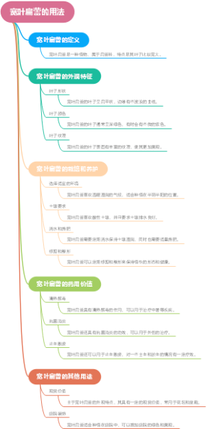 宽叶扁蕾的用法