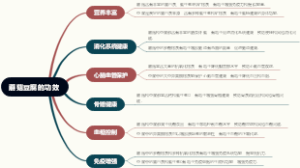 红色新日蕨的用法