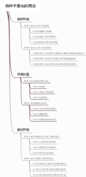 森林千里光的用法