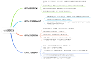 棕熊的用法