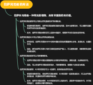 拉萨风毛菊的用法