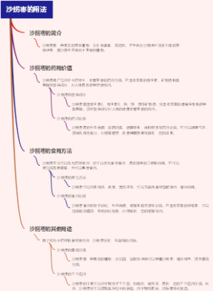 沙拐枣的用法