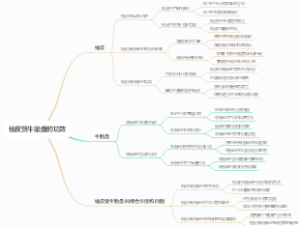 柚皮煲牛胎盘的功效
