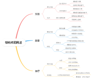 樱桃核的用法