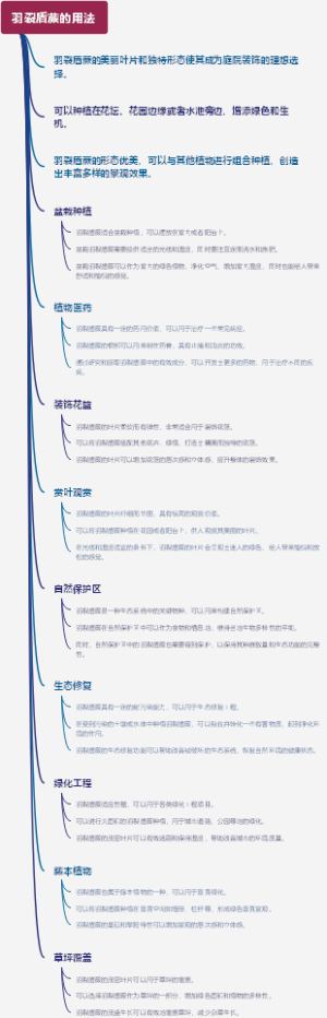 羽裂盾蕨的用法