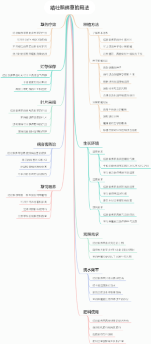 结壮飘佛草的用法