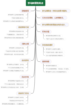 野马蹄草的用法