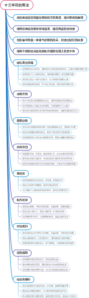 十三年花的用法