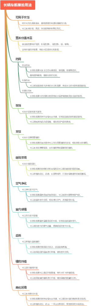 长柄车前蕨的用法