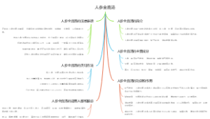 人参全鹿汤