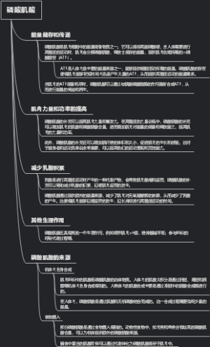 磷酸肌酸