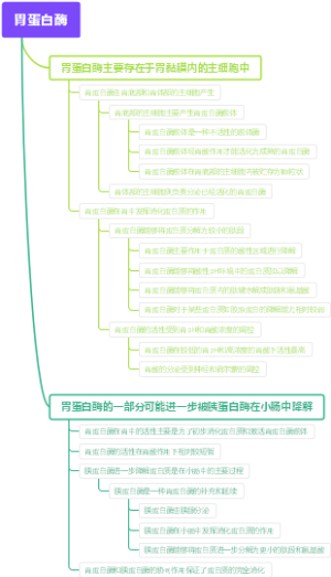 胃蛋白酶