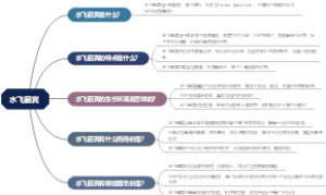 水飞蓟宾