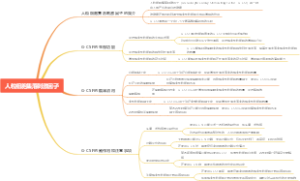 人粒细胞集落刺激因子