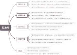红景天