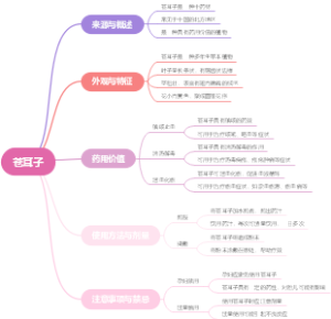 苍耳子