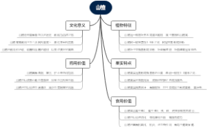 山楂