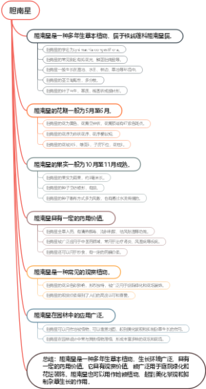胆南星