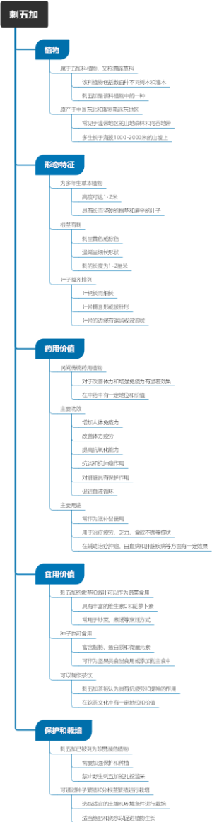 刺五加