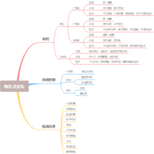 梅花点舌丸