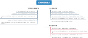 区域淋巴结定义