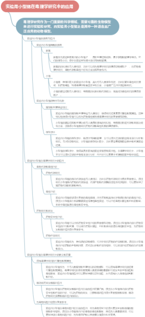 实验用小型猪在毒理学研究中的应用