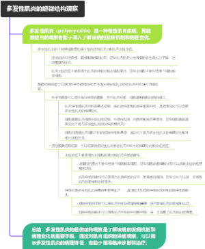 多发性肌炎的超微结构观察