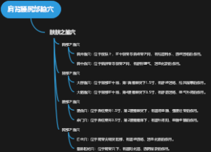 肩背腰尻部腧穴