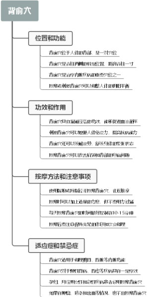 背俞穴