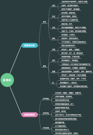 瓜果类