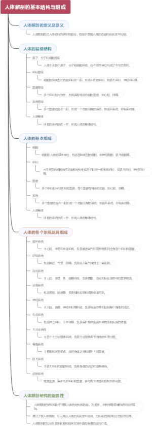 人体解剖的基本结构与组成