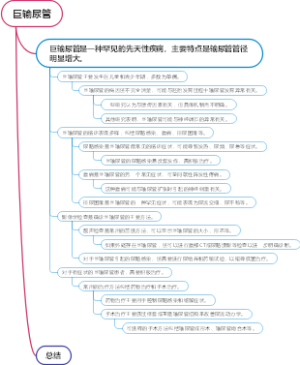 巨输尿管
