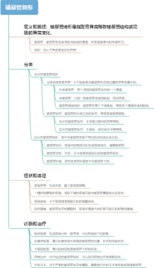 输尿管畸形