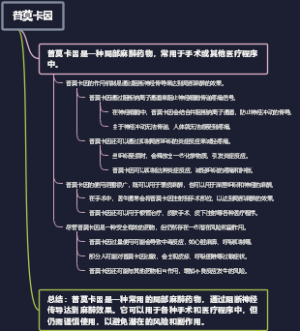 普莫卡因