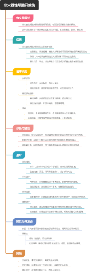 非火器性颅脑开放伤