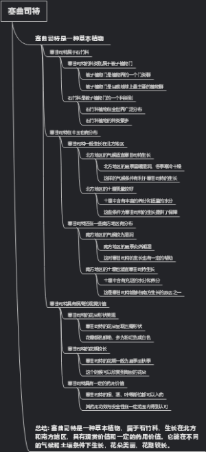 塞曲司特