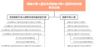 额窦内板入路及改良额窦内板入路前颅底颅面联合切除