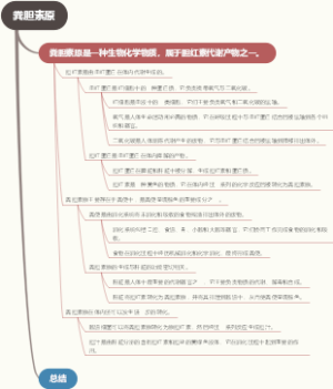 粪胆素原