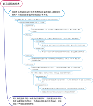 再次瓣膜置换术