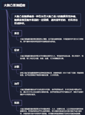 大脑凸面脑膜瘤