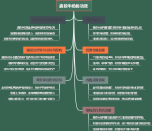 鹿胶牛奶的功效
