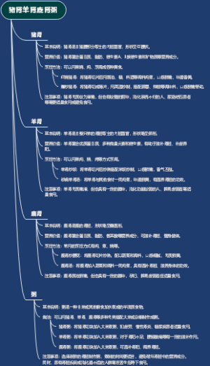 猪肾羊肾鹿肾粥