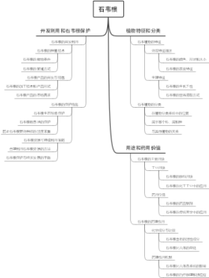 石韦根