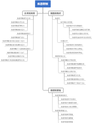 枫香树根