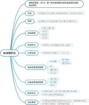 血液尿素氮