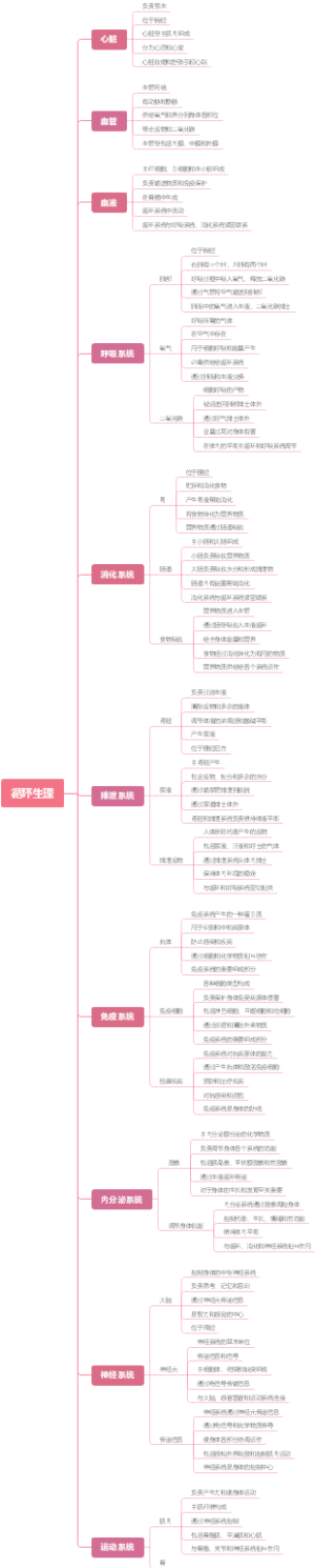 循环生理