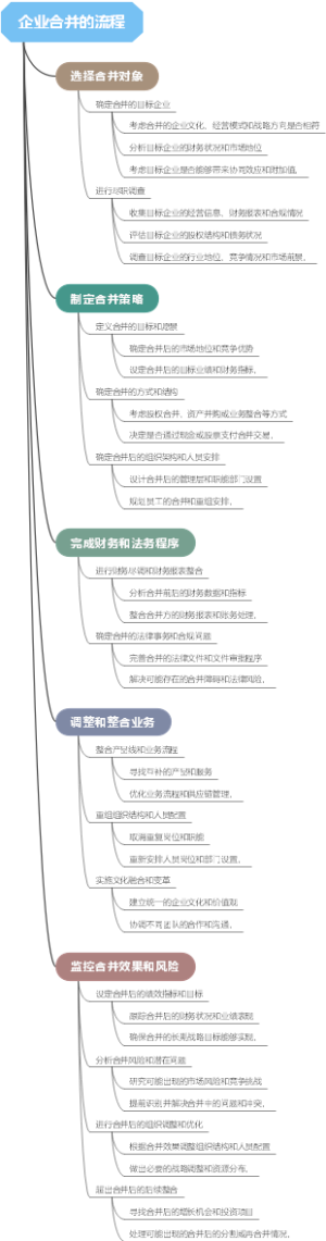 企业合并的流程