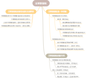 壬苯醇醚栓