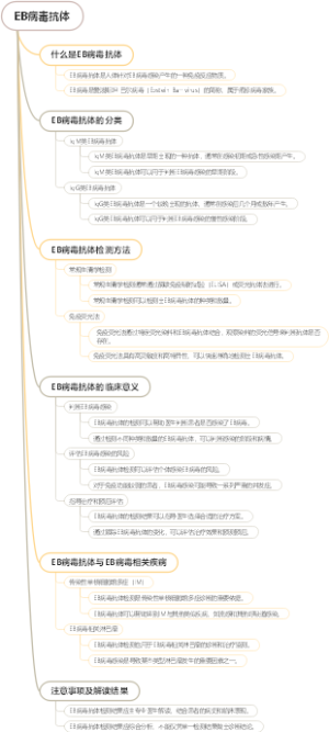 EB病毒抗体
