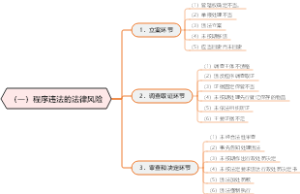 （一）程序违法的法律风险